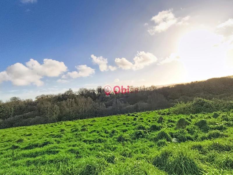 Ferme - 105 m² - 6 pièces