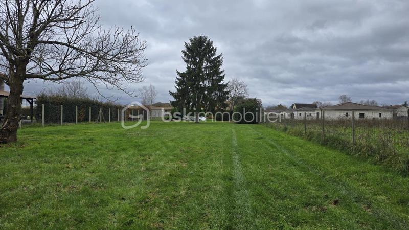 Terrain - 1 260 m²