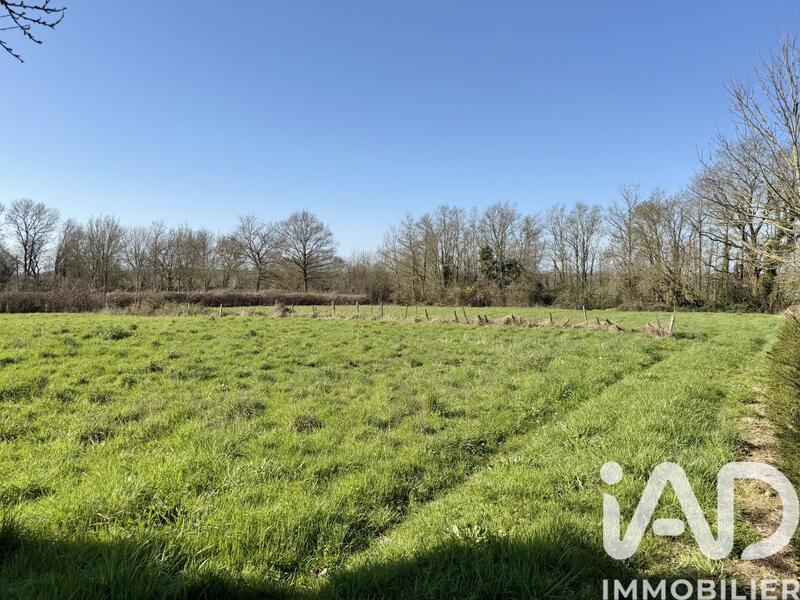 Maison - 104 m² - 5 pièces