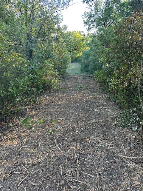 Terrain de loisirs - 24 254 m²