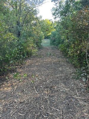 Terrain de loisirs - 24 254 m²