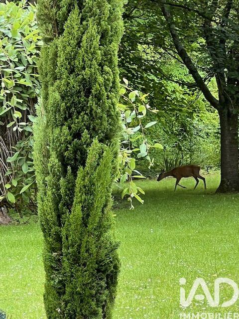 Maison de maîtres - 319 m² - 10 pièces