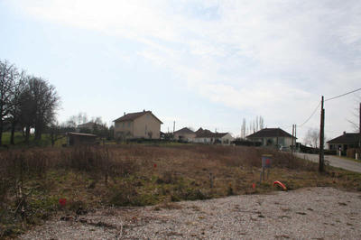 Terrain - 1 263 m²