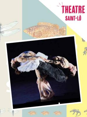 Théâtre &gt; le Lac des Cygnes