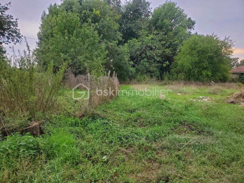 Maison en pierre - 132 m² - 5 pièces