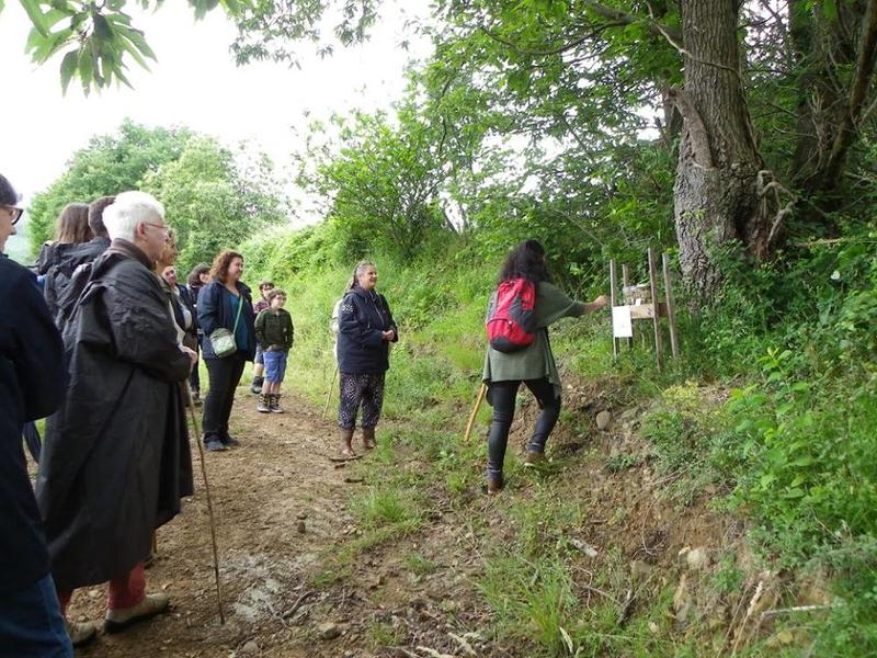 Balade dégustation  du domaine viticole Gutizia sur réservation