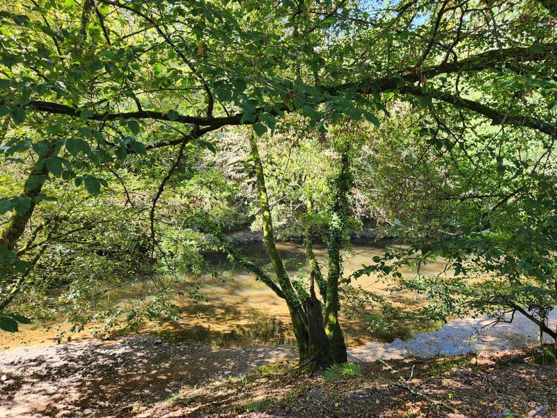 Propriété - 250 m² - 8 pièces