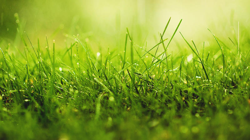 Terrain constructible - 496 m²