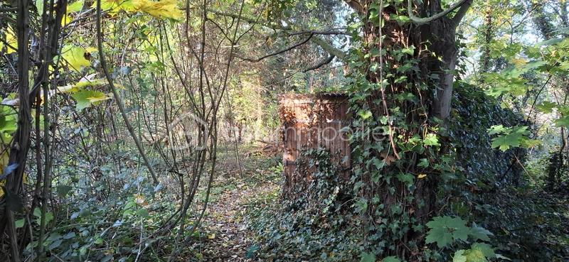 Maison traditionnelle - 209 m² - 6 pièces