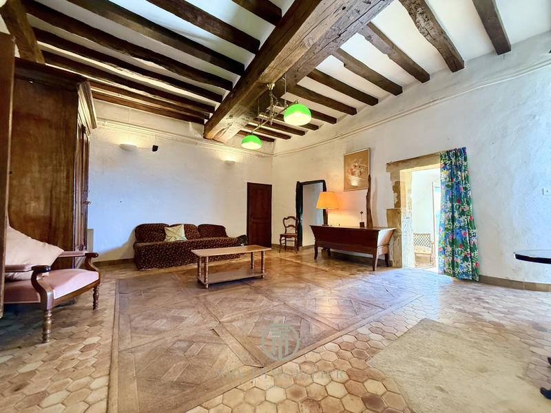 Maison - 317 m² - 13 pièces