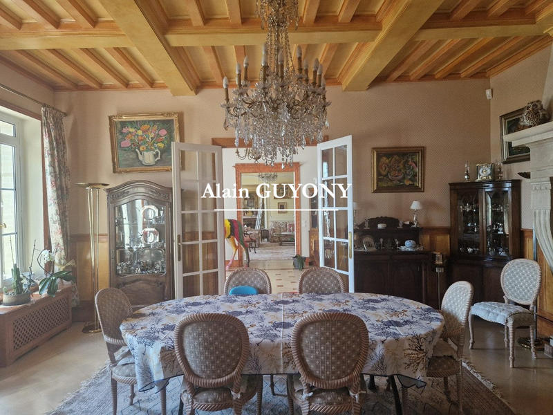 Château - 396 m² - 9 pièces