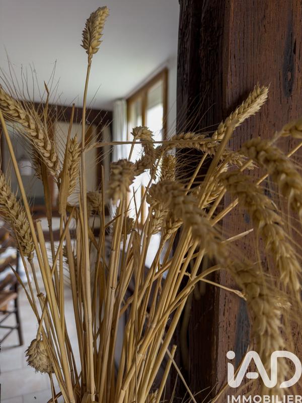 Maison - 210 m² - 8 pièces