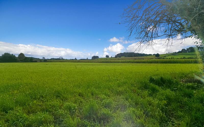 Terrain constructible - 11 000 m²