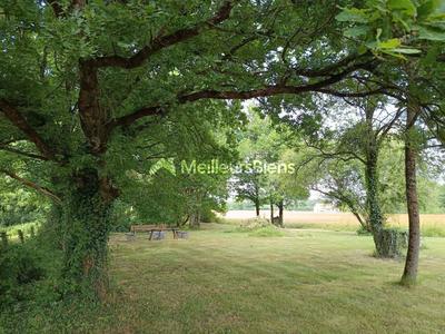 Maison de campagne - 203 m² - 7 pièces