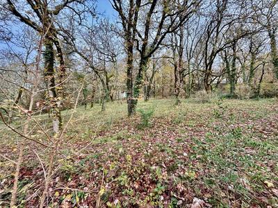 Terrain constructible - 2 062 m²