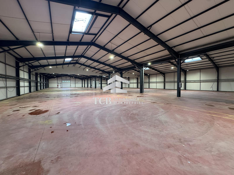 Local d'activités - 2 620 m²