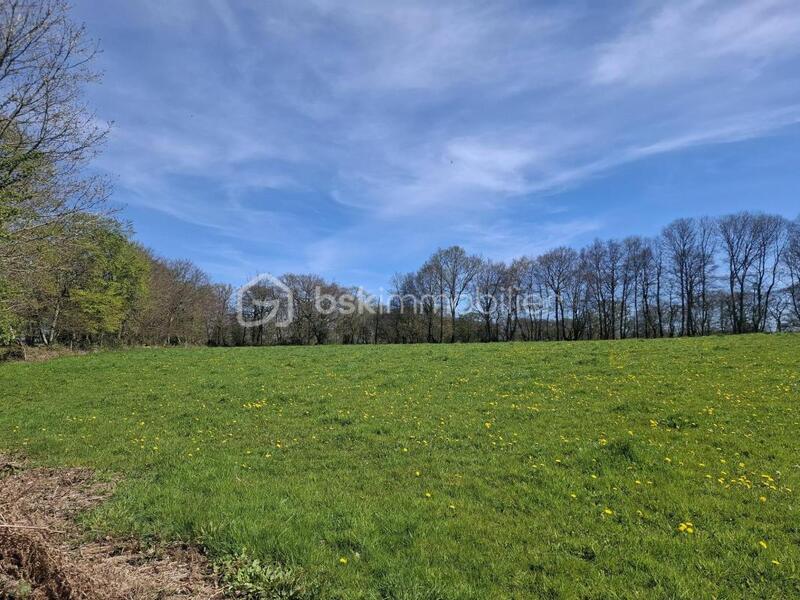 Terrain agricole - 11 860 m²