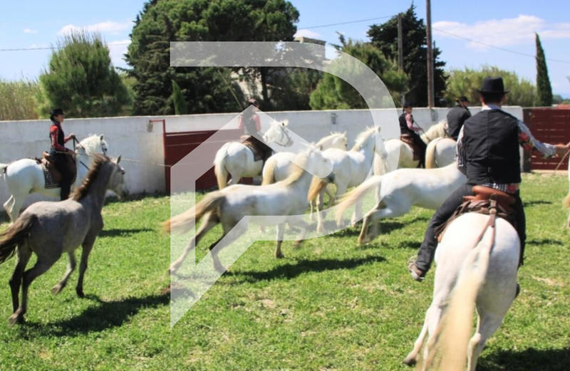 Local d'activité / Entrepôt - 180 m² - 1 pièce