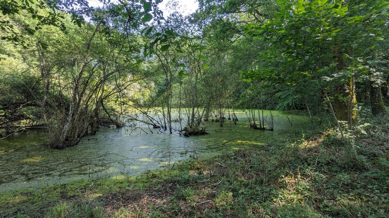 Terrain - 45 170 m²