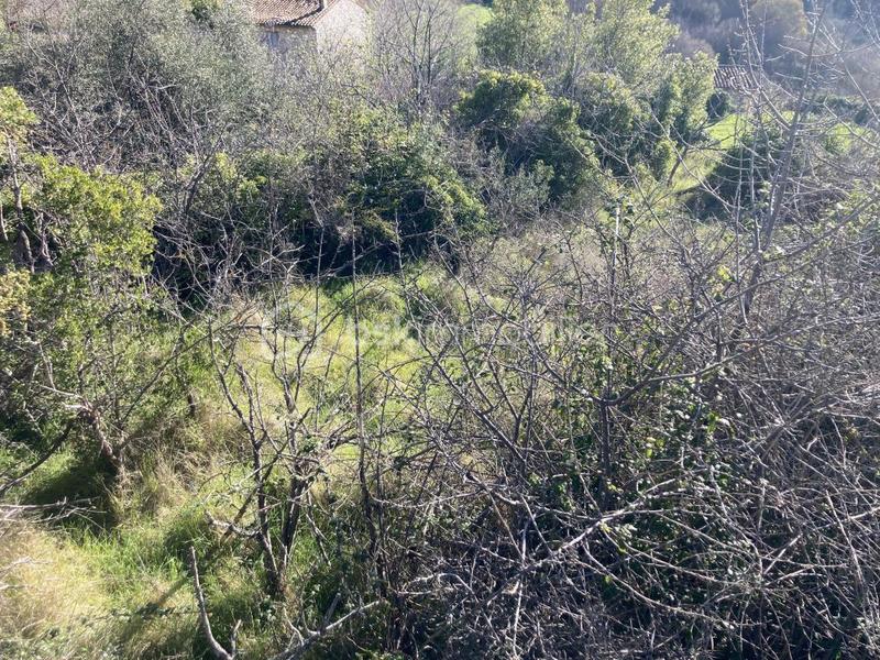 Terrain de loisirs - 283 m²