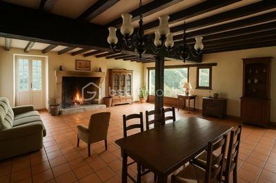 Propriété - 300 m² - 10 pièces