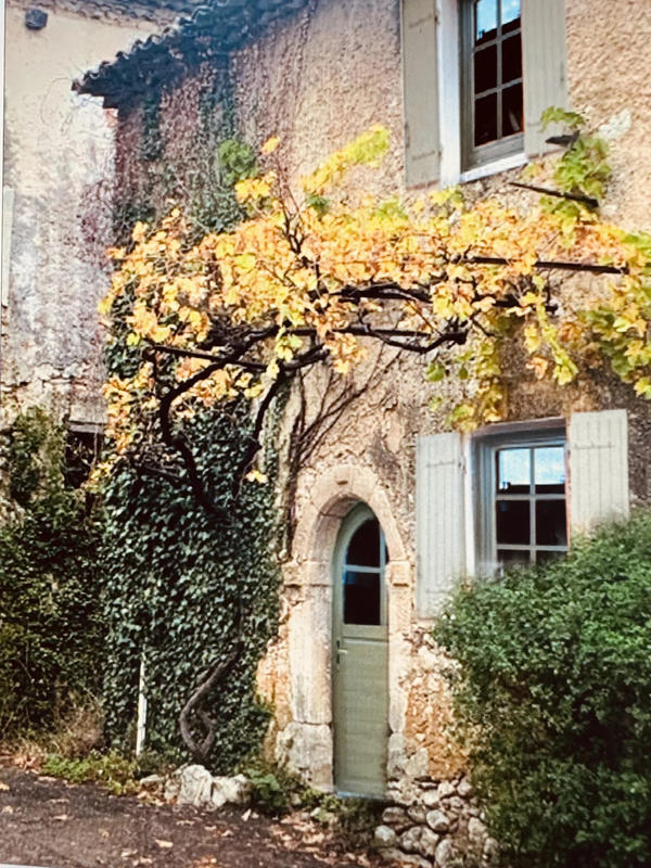 Maison traditionnelle - 251 m² - 5 pièces