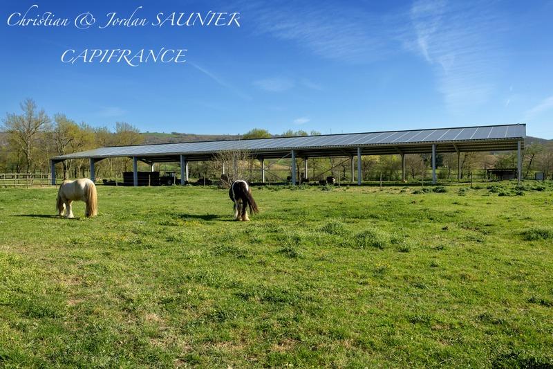 Propriété - 391 m² - 10 pièces