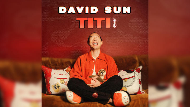 Festival Top In Humour - David Sun