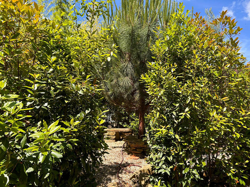 Maison - 47 m² - 2 pièces