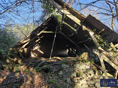 Maison ancienne - 30 m² - 1 pièce