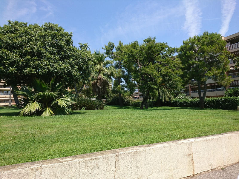 Appartement - 31 m² - 1 pièce