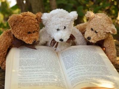 Doudous lecteurs "doudous des villes/doudous des champs