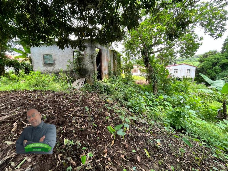 Terrain constructible - 1 480 m²