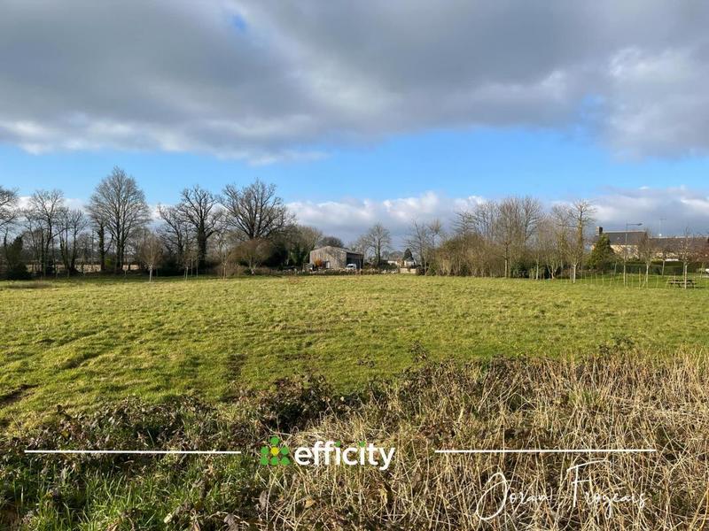 Terrain - 11 000 m²