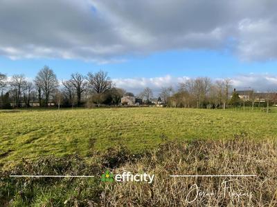 Terrain - 11 000 m²