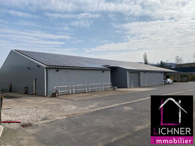 Local d'activités - 800 m²