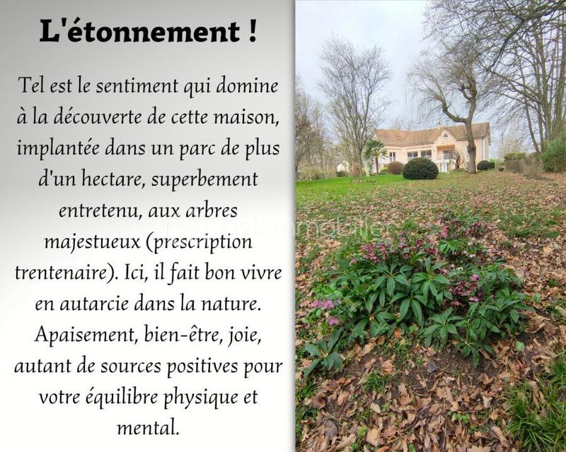 Maison - 310 m² - 7 pièces