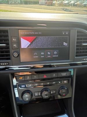 Seat Leon Cupra 20 Tsi 290 Dsg 7