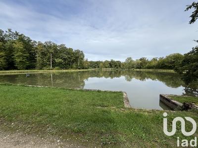 Terrain - 40 000 m²