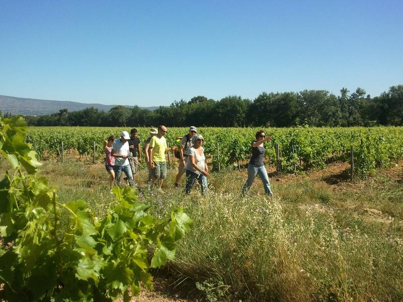 La drôle histoire des vins à l'Hostellerie des vins de Rognes
