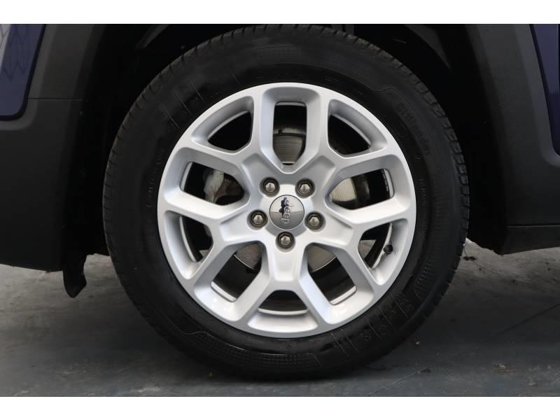 Jeep Renegade 1.6 I MultiJet s&amp;S 120 ch Bvr6 Longitude Business