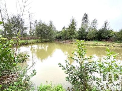 Terrain - 17 696 m²