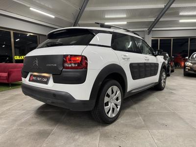 Citroën C4 Cactus 1.6 BlueHDi - 100 Shine Phase 2 / Garantie 12 Mois