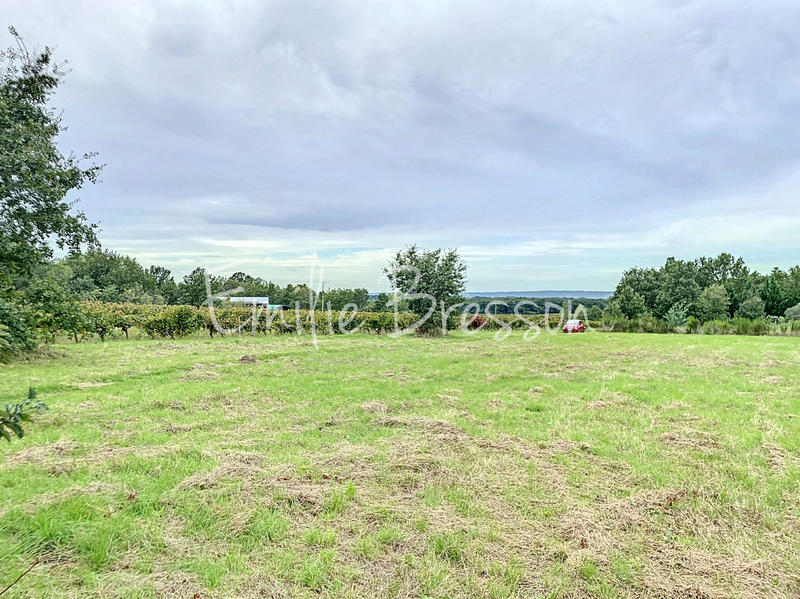 Terrain - 10 076 m²
