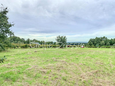 Terrain - 10 076 m²