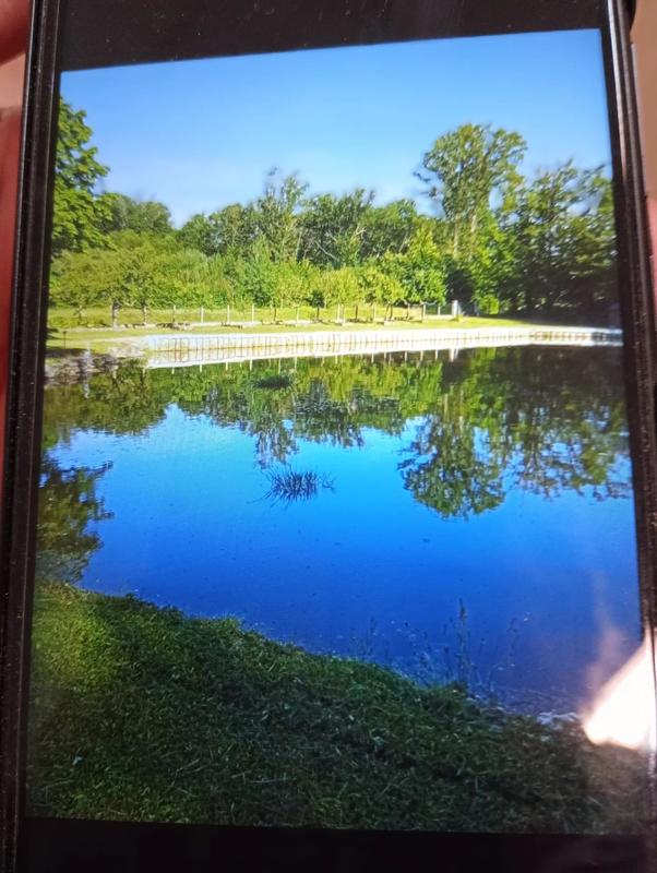 Terrain - 10 173 m²