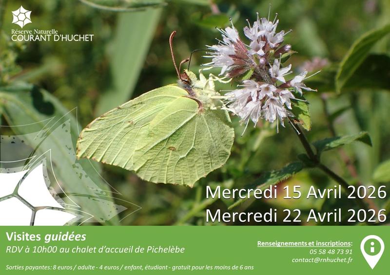 Partez à la découverte de la Réserve Naturelle du Courant d'Huchet
