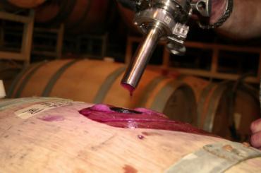 Vignoble maison le Castela