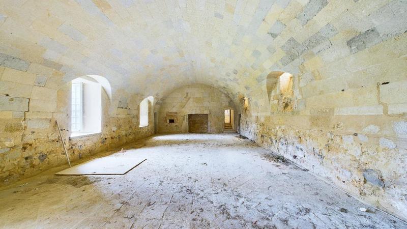 Château - 3 000 m² - 30 pièces