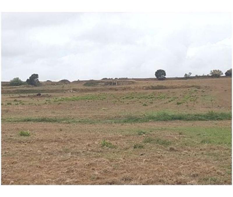 Terrain - 83 245 m²